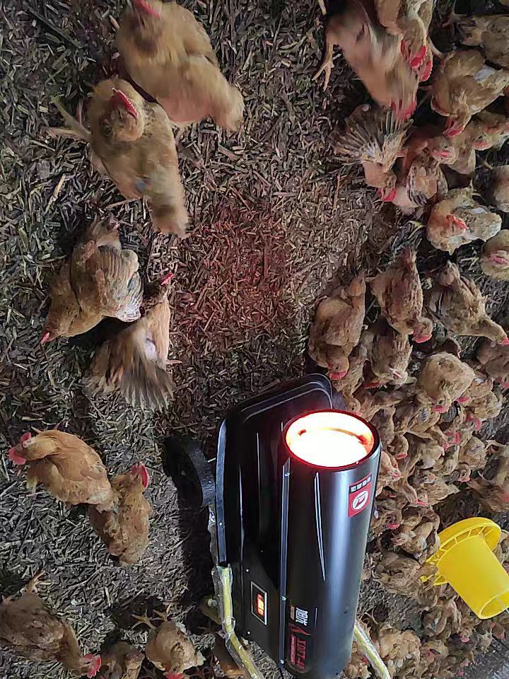 燃油暖风机使用案例